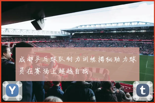 成都乒乓球队耐力训练揭秘助力球员在赛场上超越自我